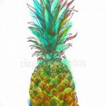 фото тату ананас 24.04.2019 №190 - tattoo pineapple - tattoo-photo.ru