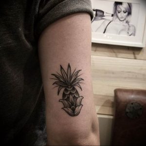 фото тату ананас 24.04.2019 №202 - tattoo pineapple - tattoo-photo.ru