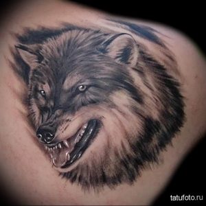 фото тату волчий оскал 01.05.2019 №002 - wolf grin tattoo - tattoo-photo.ru