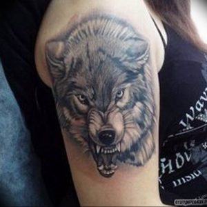 фото тату волчий оскал 01.05.2019 №004 - wolf grin tattoo - tattoo-photo.ru