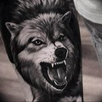 фото тату волчий оскал 01.05.2019 №005 - wolf grin tattoo - tattoo-photo.ru