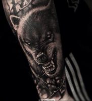 фото тату волчий оскал 01.05.2019 №007 — wolf grin tattoo — tattoo-photo.ru