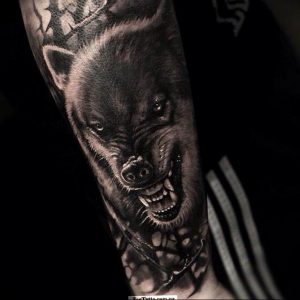фото тату волчий оскал 01.05.2019 №007 - wolf grin tattoo - tattoo-photo.ru
