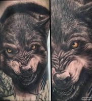 фото тату волчий оскал 01.05.2019 №010 — wolf grin tattoo — tattoo-photo.ru
