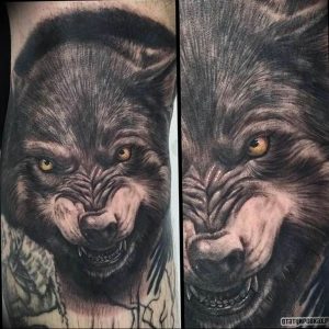 фото тату волчий оскал 01.05.2019 №010 - wolf grin tattoo - tattoo-photo.ru