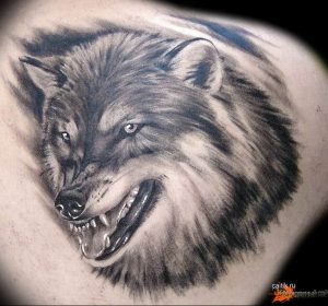 фото тату волчий оскал 01.05.2019 №011 - wolf grin tattoo - tattoo-photo.ru