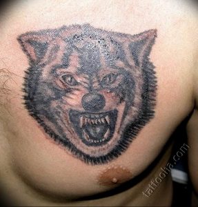 фото тату волчий оскал 01.05.2019 №014 - wolf grin tattoo - tattoo-photo.ru