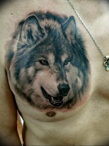 фото тату волчий оскал 01.05.2019 №015 - wolf grin tattoo - tattoo-photo.ru