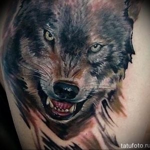 фото тату волчий оскал 01.05.2019 №017 - wolf grin tattoo - tattoo-photo.ru