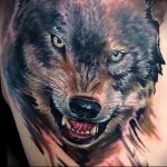 фото тату волчий оскал 01.05.2019 №018 - wolf grin tattoo - tattoo-photo.ru