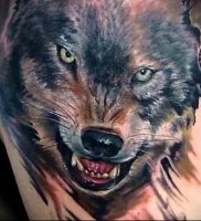 фото тату волчий оскал 01.05.2019 №018 — wolf grin tattoo — tattoo-photo.ru