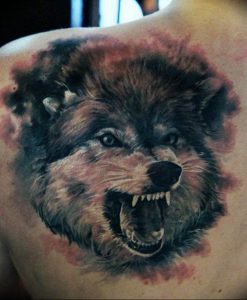 фото тату волчий оскал 01.05.2019 №022 - wolf grin tattoo - tattoo-photo.ru