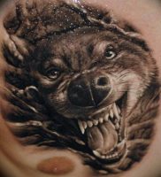 фото тату волчий оскал 01.05.2019 №024 — wolf grin tattoo — tattoo-photo.ru