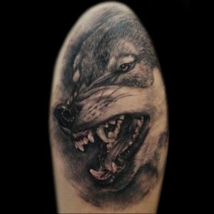 фото тату волчий оскал 01.05.2019 №025 - wolf grin tattoo - tattoo-photo.ru