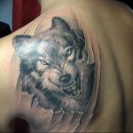 фото тату волчий оскал 01.05.2019 №026 - wolf grin tattoo - tattoo-photo.ru