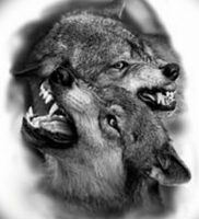 фото тату волчий оскал 01.05.2019 №033 — wolf grin tattoo — tattoo-photo.ru