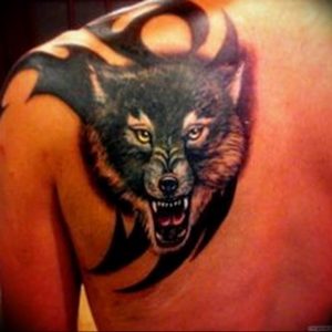 фото тату волчий оскал 01.05.2019 №036 - wolf grin tattoo - tattoo-photo.ru