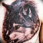 фото тату волчий оскал 01.05.2019 №041 - wolf grin tattoo - tattoo-photo.ru