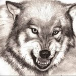 фото тату волчий оскал 01.05.2019 №050 - wolf grin tattoo - tattoo-photo.ru