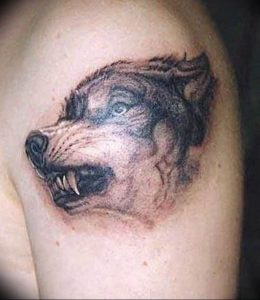 фото тату волчий оскал 01.05.2019 №067 - wolf grin tattoo - tattoo-photo.ru