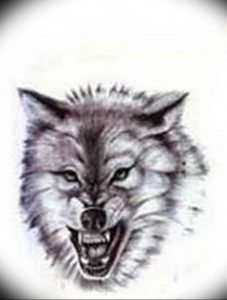 фото тату волчий оскал 01.05.2019 №070 - wolf grin tattoo - tattoo-photo.ru