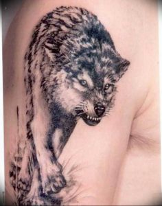 фото тату волчий оскал 01.05.2019 №082 - wolf grin tattoo - tattoo-photo.ru