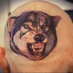 фото тату волчий оскал 01.05.2019 №083 - wolf grin tattoo - tattoo-photo.ru