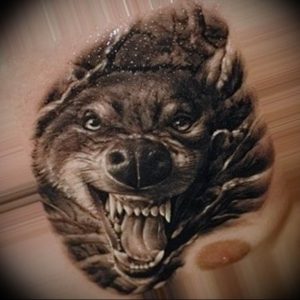 фото тату волчий оскал 01.05.2019 №087 - wolf grin tattoo - tattoo-photo.ru