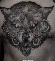 фото тату волчий оскал 01.05.2019 №109 — wolf grin tattoo — tattoo-photo.ru