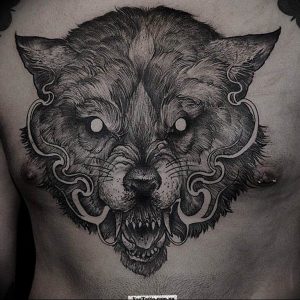 фото тату волчий оскал 01.05.2019 №109 - wolf grin tattoo - tattoo-photo.ru