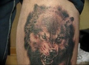 фото тату волчий оскал 01.05.2019 №113 - wolf grin tattoo - tattoo-photo.ru
