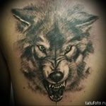 фото тату волчий оскал 01.05.2019 №121 - wolf grin tattoo - tattoo-photo.ru