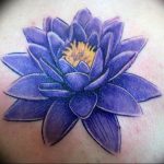 фото тату кувшинка 30.04.2019 №048 - tattoo waterlily - tattoo-photo.ru