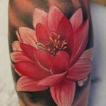 фото тату кувшинка 30.04.2019 №082 - tattoo waterlily - tattoo-photo.ru