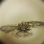 фото тату кувшинка 30.04.2019 №158 - tattoo waterlily - tattoo-photo.ru