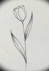 фото тату тюльпан 06.04.2019 №046 - tattoo tulip - tattoo-photo.ru