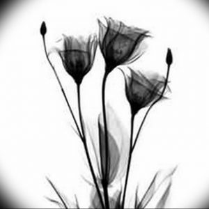 фото черный тюльпан тату 06.04.2019 №017 - black tulip tattoo - tattoo-photo.ru