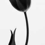 фото черный тюльпан тату 06.04.2019 №019 - black tulip tattoo - tattoo-photo.ru