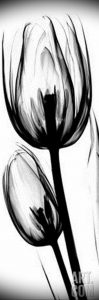 фото черный тюльпан тату 06.04.2019 №025 - black tulip tattoo - tattoo-photo.ru