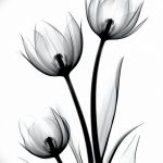 фото эскизы тюльпанов тату 06.04.2019 №003 - sketches of tulips tattoo - tattoo-photo.ru