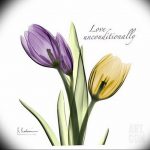 фото эскизы тюльпанов тату 06.04.2019 №010 - sketches of tulips tattoo - tattoo-photo.ru