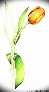 фото эскизы тюльпанов тату 06.04.2019 №014 - sketches of tulips tattoo - tattoo-photo.ru
