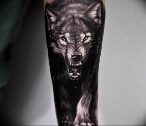 Фото тату волк 20.05.2019 №021 - photo tattoo wolf - tattoo-photo.ru