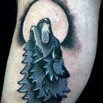 Фото тату волк 20.05.2019 №035 - photo tattoo wolf - tattoo-photo.ru