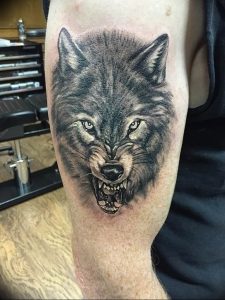 Фото тату волк 20.05.2019 №090 - photo tattoo wolf - tattoo-photo.ru