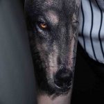 Фото тату волк 20.05.2019 №162 - photo tattoo wolf - tattoo-photo.ru