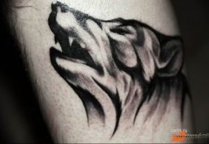 Фото тату волк 20.05.2019 №171 - photo tattoo wolf - tattoo-photo.ru