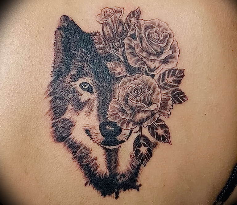 Волк на спине в цвете тату