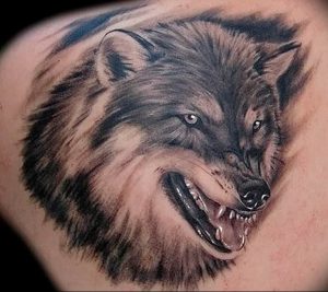 Фото тату волк 20.05.2019 №188 - photo tattoo wolf - tattoo-photo.ru