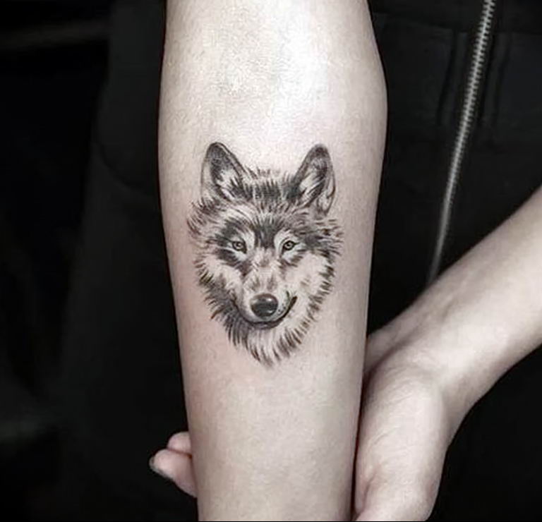 Фото тату волк 20.05.2019 № 191 - photo tattoo wolf - tattoo-photo.ru.